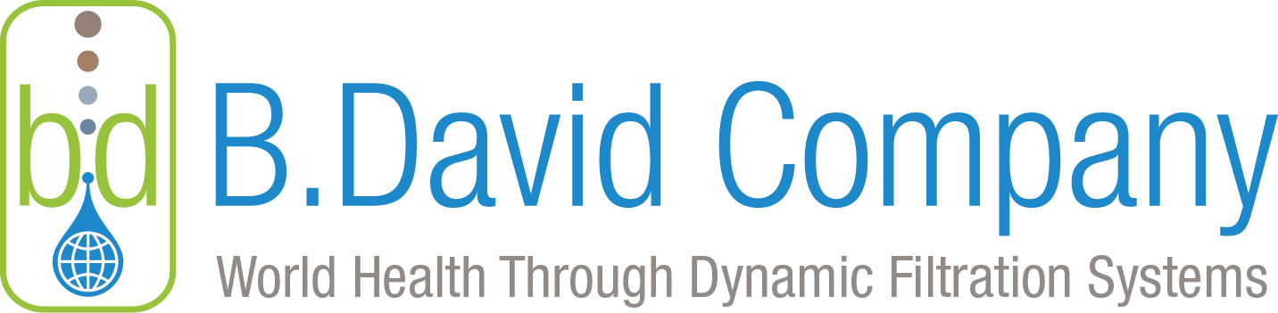BDavid-logo_final_new-new-tag_dynamic-systems